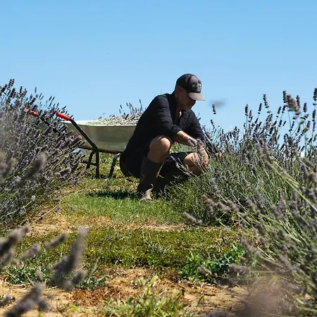 Tenuta Mun Nocleg ze śniadaniem Nizza Monferrato