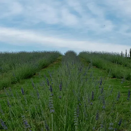 Tenuta Mun